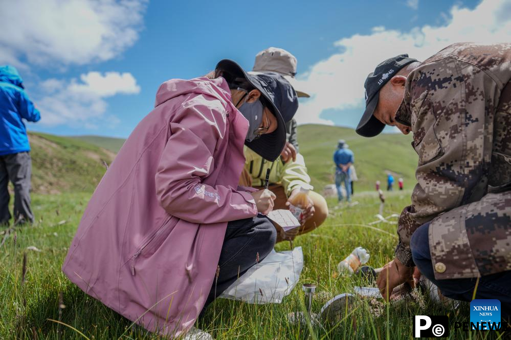 Chinese scientists work during expedition in Sanjiangyuan area