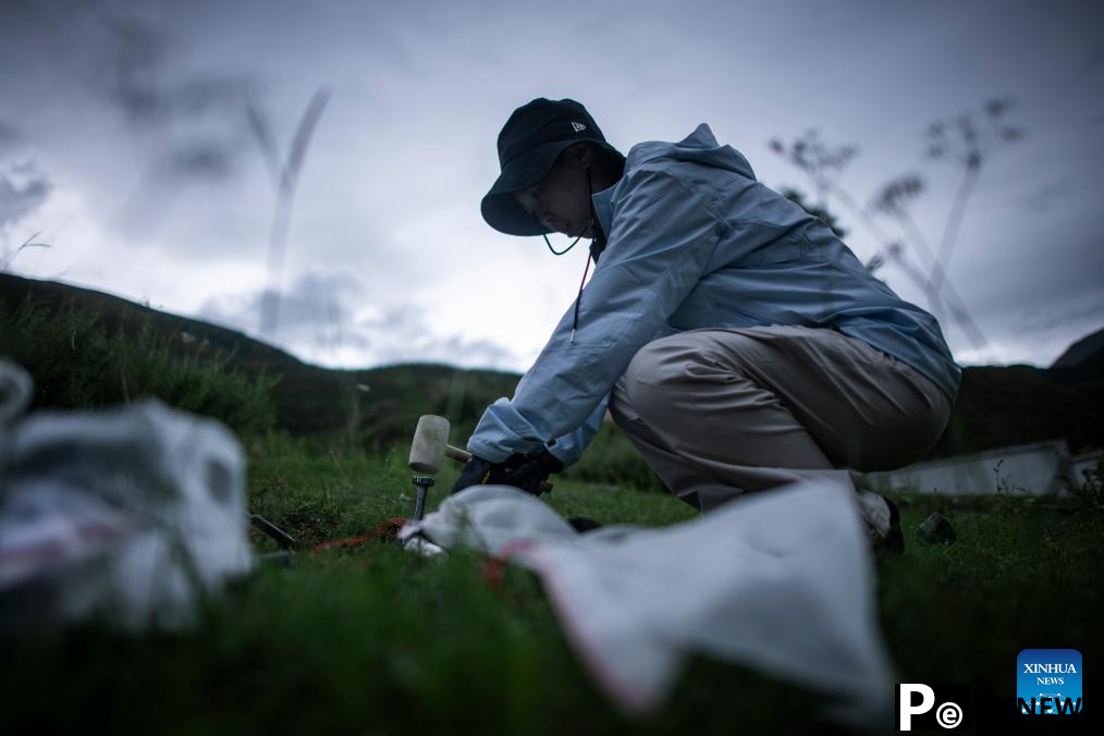 Chinese scientists work during expedition in Sanjiangyuan area