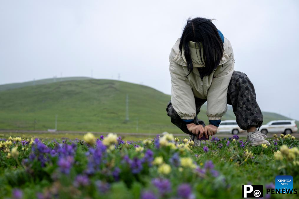 Chinese scientists work during expedition in Sanjiangyuan area