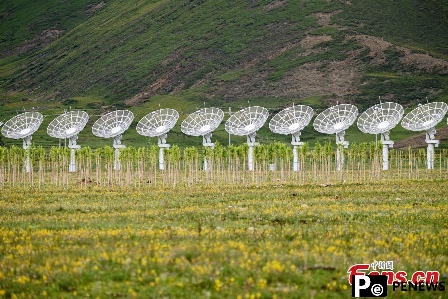 Exploring Solar Radio Telescope in SW China