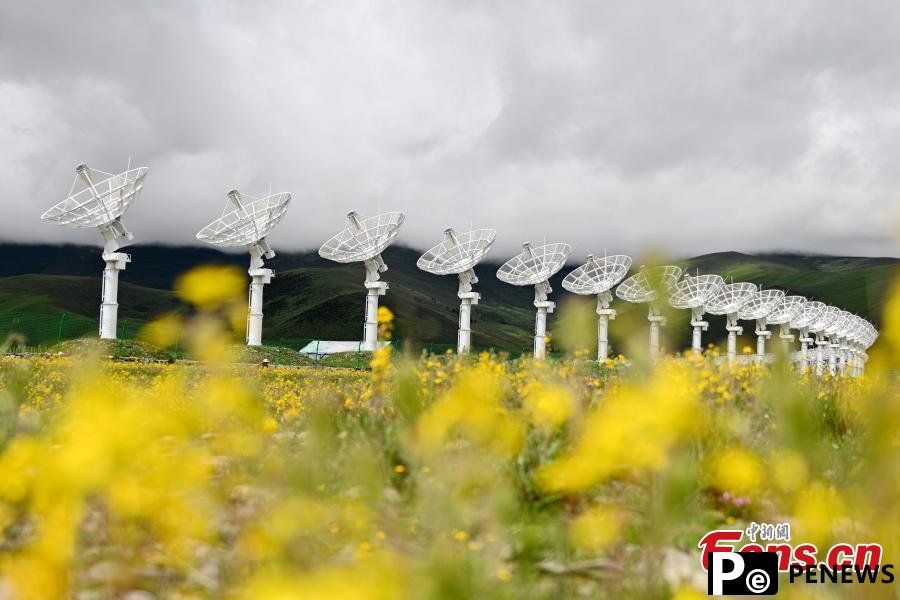 Exploring Solar Radio Telescope in SW China
