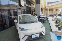 made EVs grow rapidly in Egypt