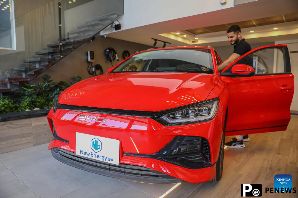 made EVs grow rapidly in Egypt