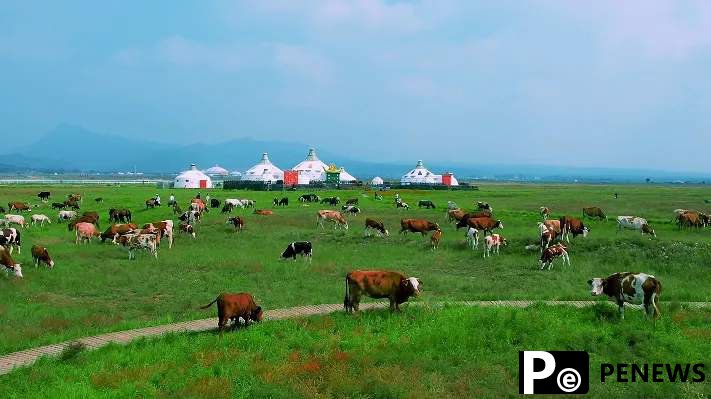 Embark on an exciting journey to Hohhot in Inner Mongolia