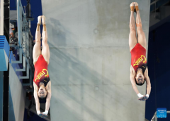 China's Chen Yuxi/Quan Hongchan win women's synchro 10m platform