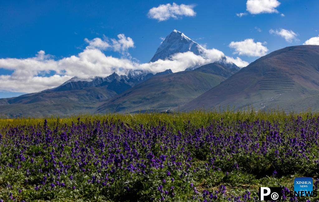 Scenery of Mount Chomolhari in China