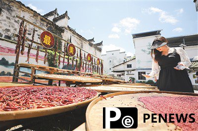 Upgraded rural tourism becomes highlight of domestic trips in China