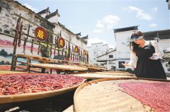 Upgraded rural tourism becomes highlight of domestic trips in China