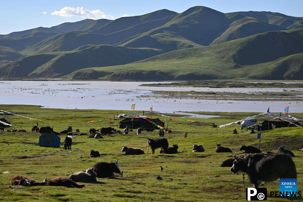 Scenery of Yellow River in Dari County, NW China