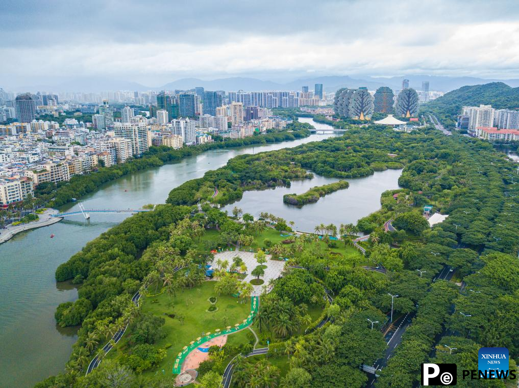 Summer scenery of Sanya, S China