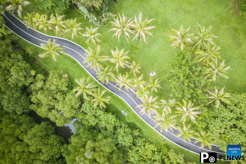 Summer scenery of Sanya, S China