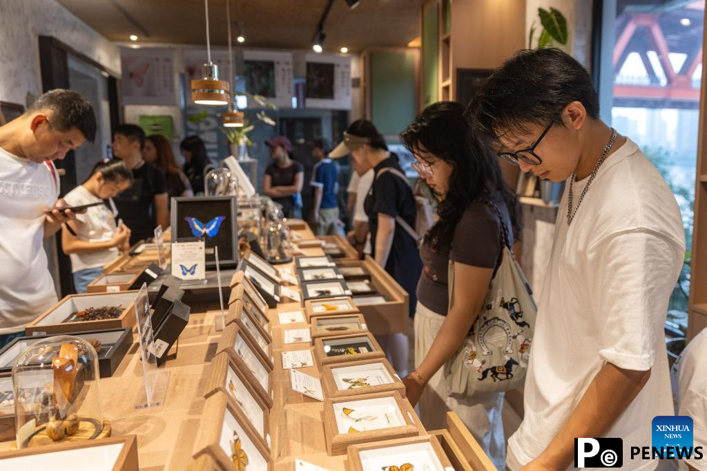 Urban renewal injects new vigor into old street in Chongqing