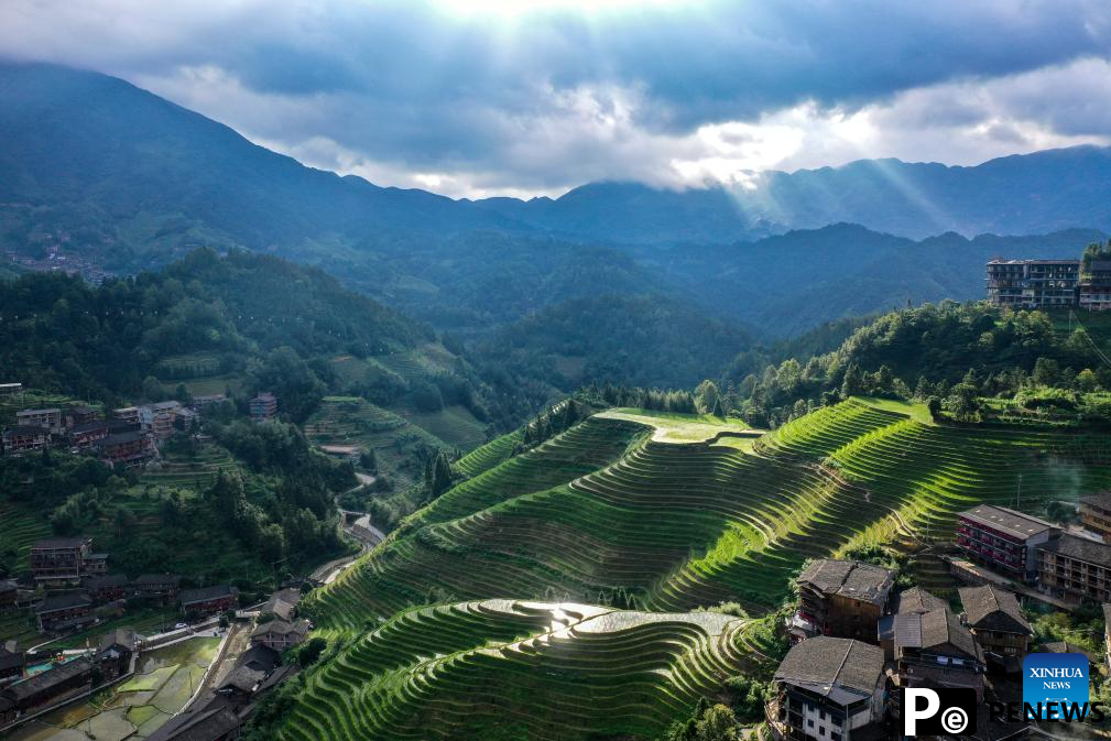 Homestay service burgeons at Dazhai Village in S China