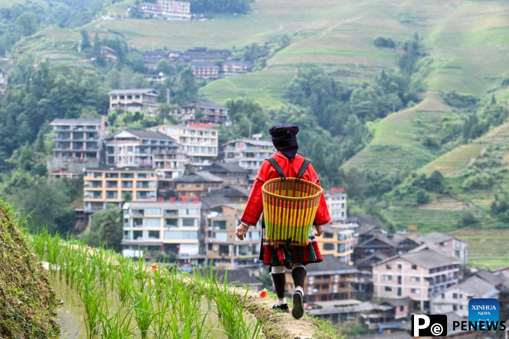Homestay service burgeons at Dazhai Village in S China