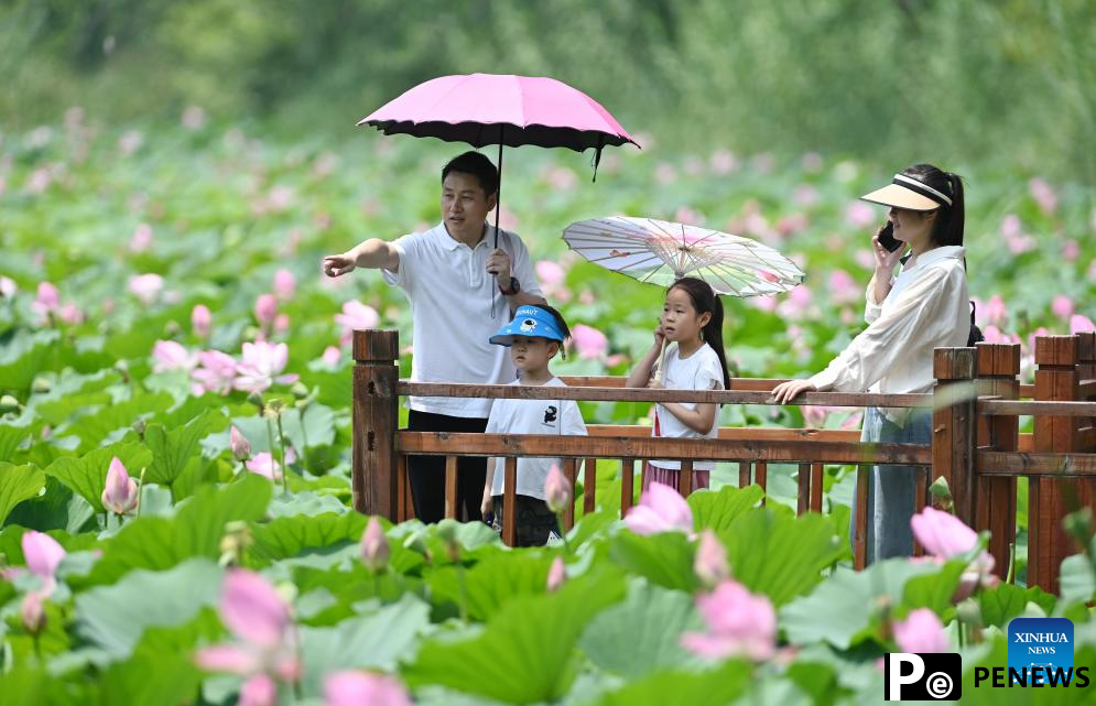 Tourist destinations across China see surge in visitors during peak summer tourist season