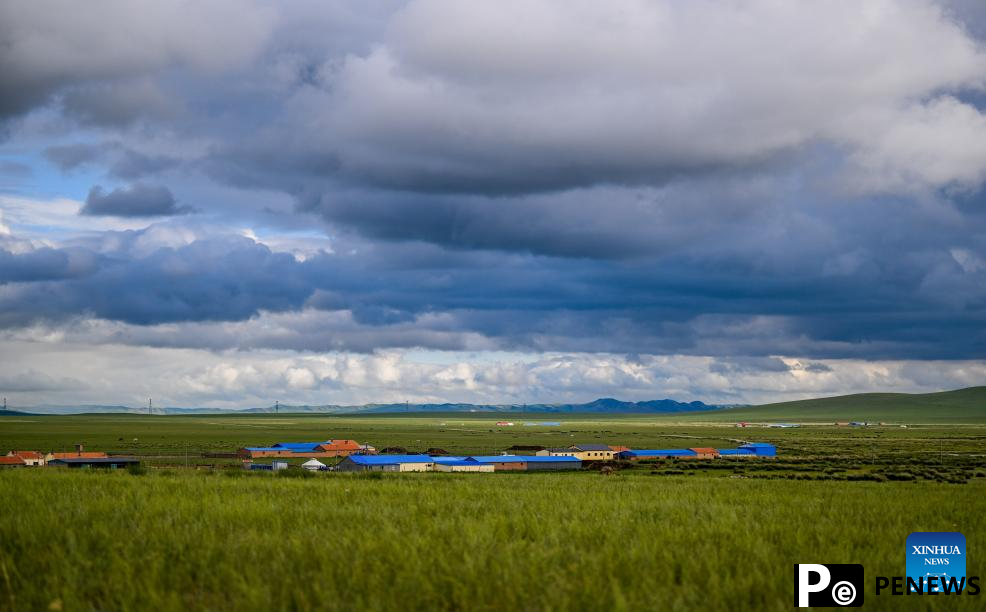 Scenery of grassland in north China