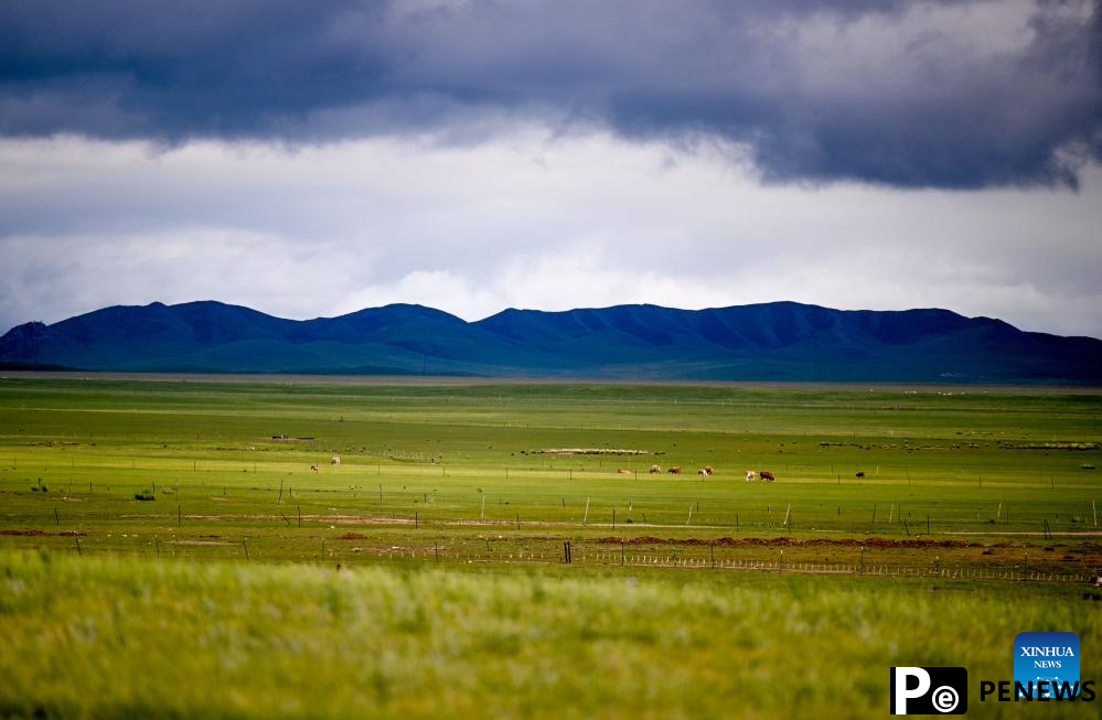 Scenery of grassland in north China