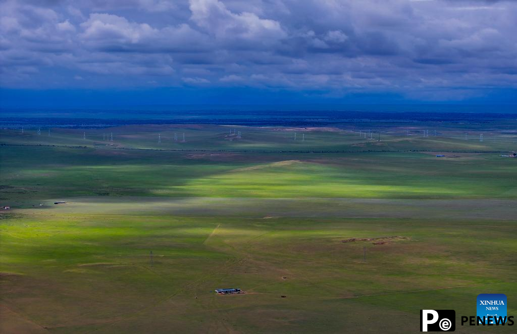 Scenery of grassland in north China