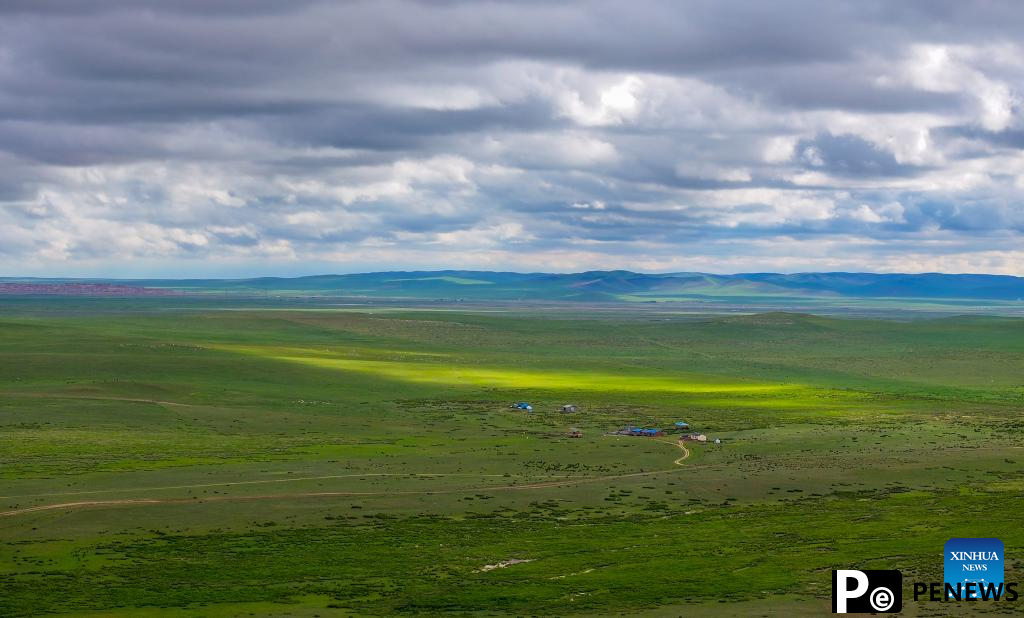 Scenery of grassland in north China