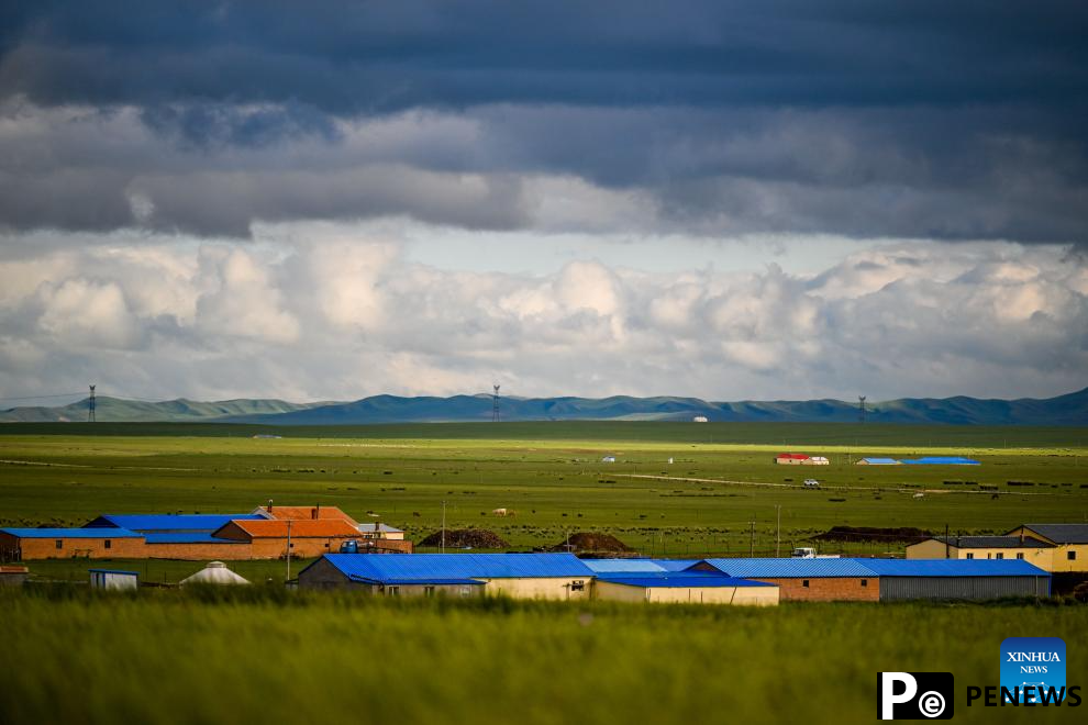 Scenery of grassland in north China