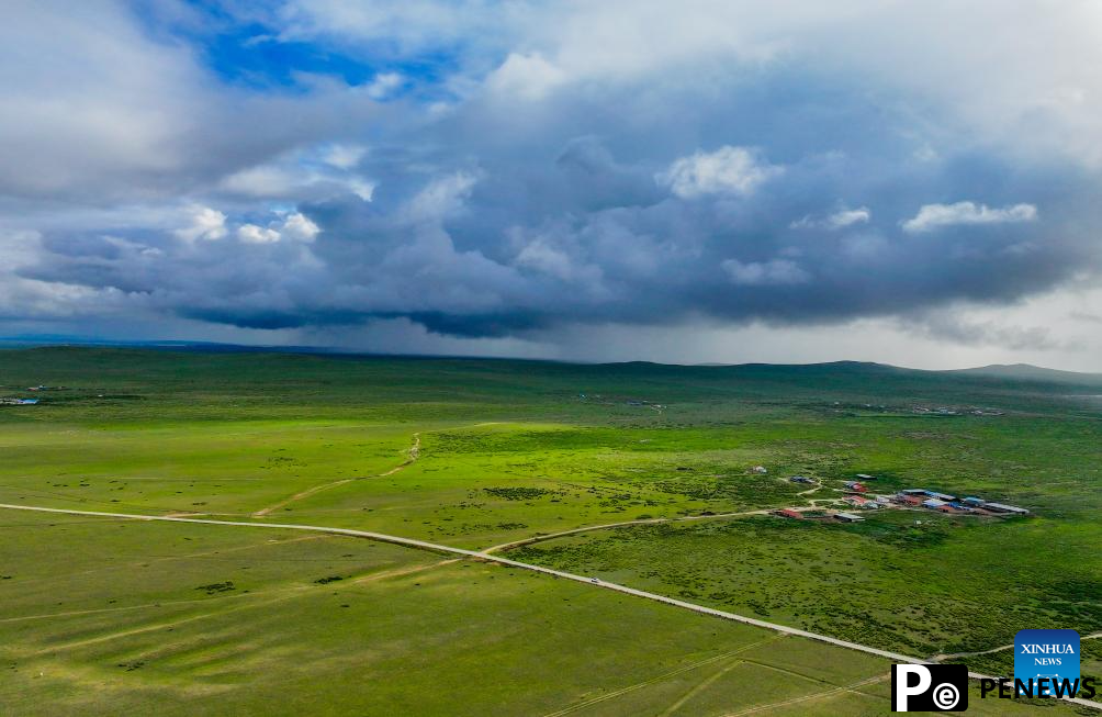 Scenery of grassland in north China