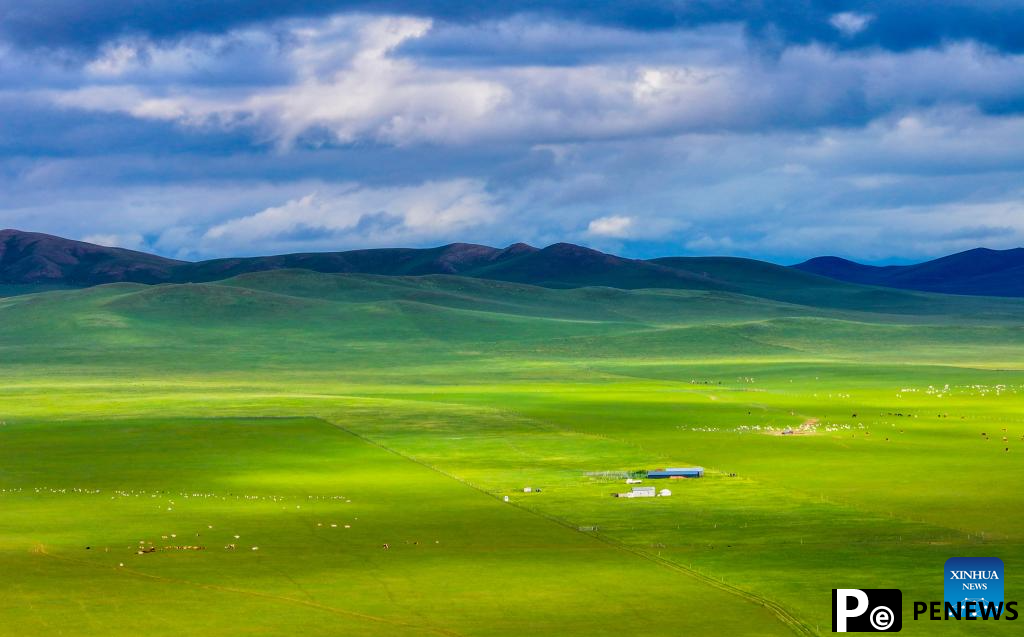 Scenery of grassland in north China
