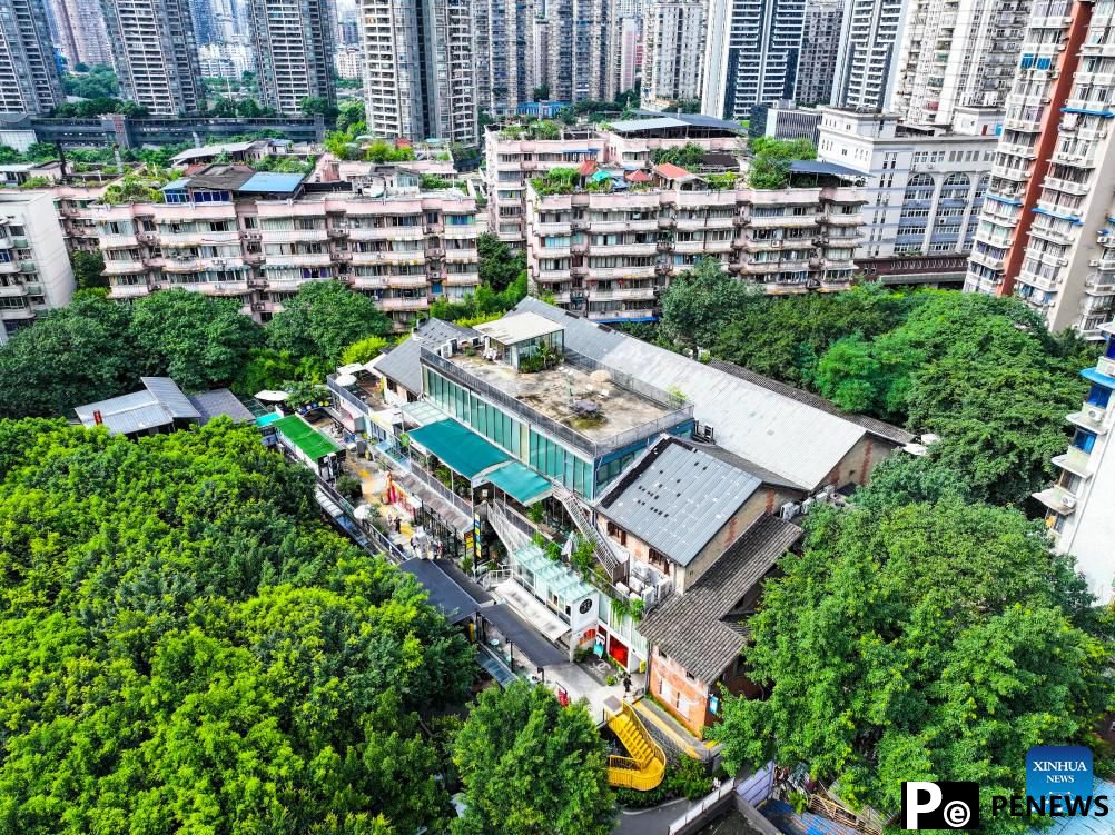 Urban renewal breathes new life into Chongqing