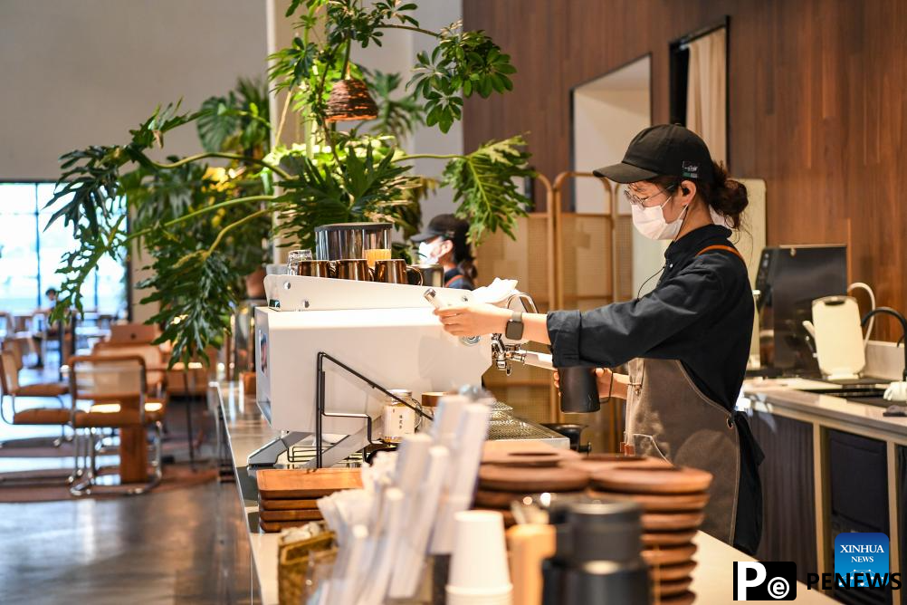Urban renewal breathes new life into Chongqing