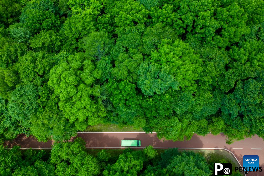 Yichun in NE China becomes popular travel destination in summer