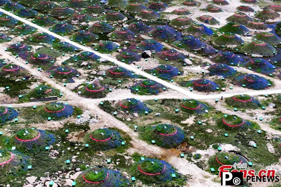 Aerial view of China