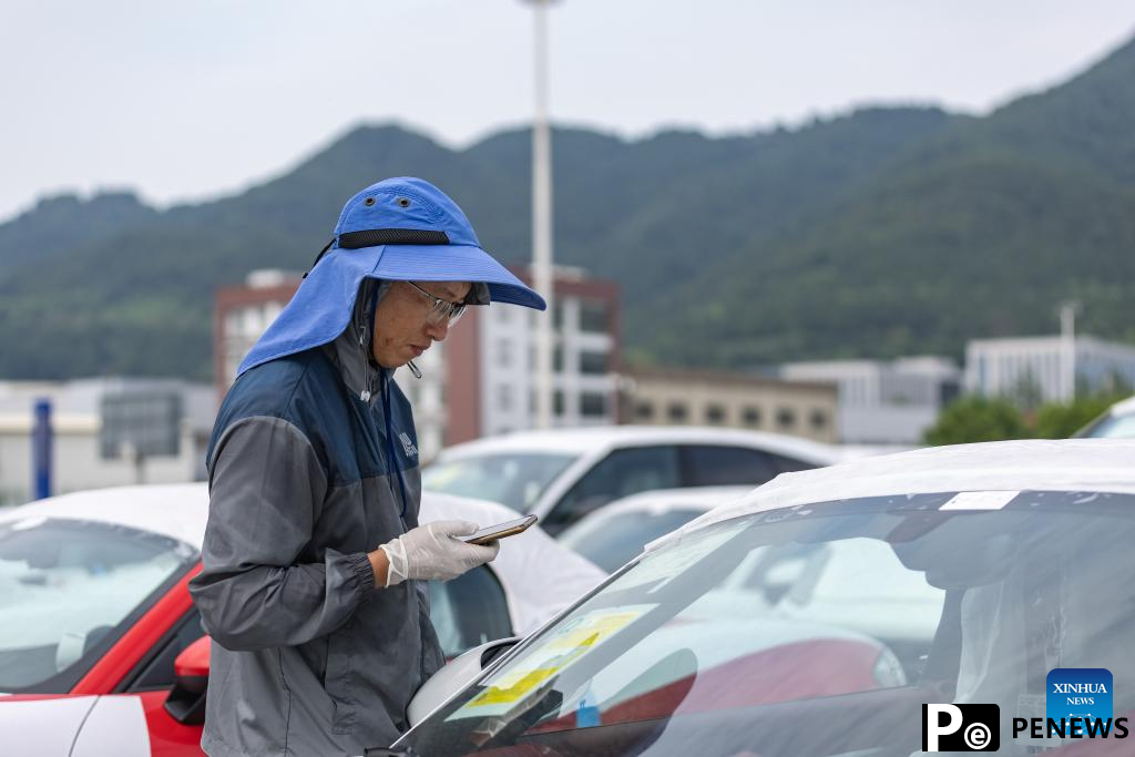 A glimpse of Chongqing International Logistics Hub Park
