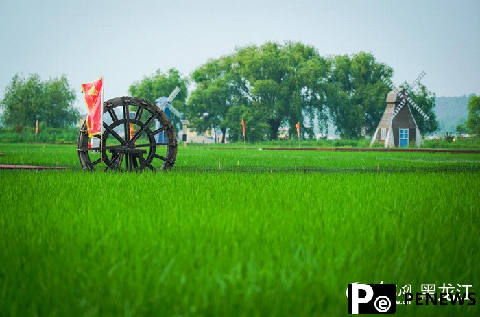 Farmers in NE China