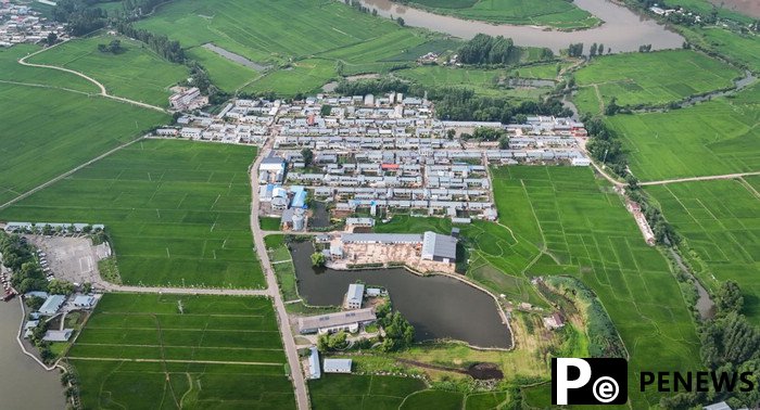 Farmers in NE China