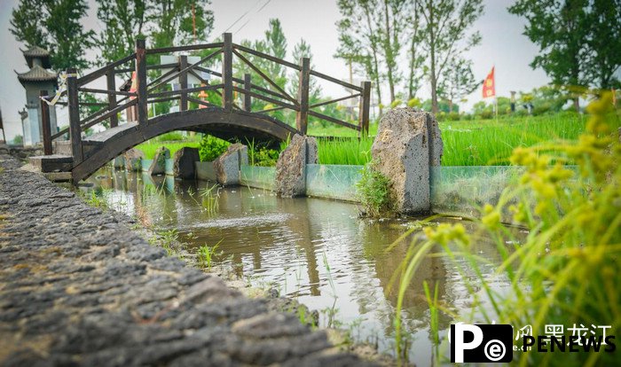 Farmers in NE China