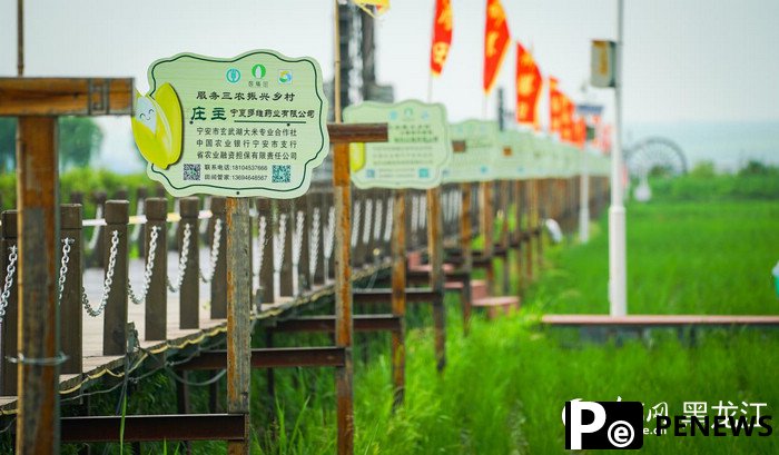 Farmers in NE China