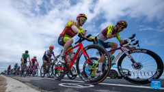 In pics: 23rd Tour of Qinghai Lake cycling race