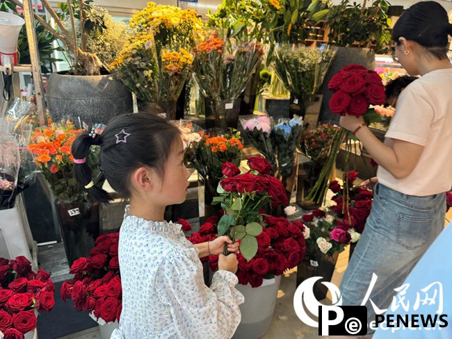 Flower industry thrives in Lanzhou New Area, NW China