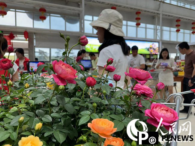 Flower industry thrives in Lanzhou New Area, NW China