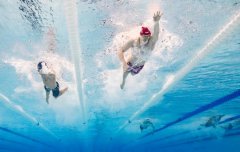 Day 9: Chinese swimmers surge up, Djokovic completes trophy collection