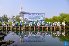 Chinese, Indonesian firms mark mangrove conservation day with community event