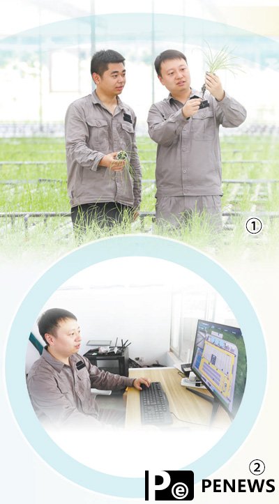 Digital aquaponics factory ensures intelligent fish farming, vegetable growing in SW China’s Chongqing