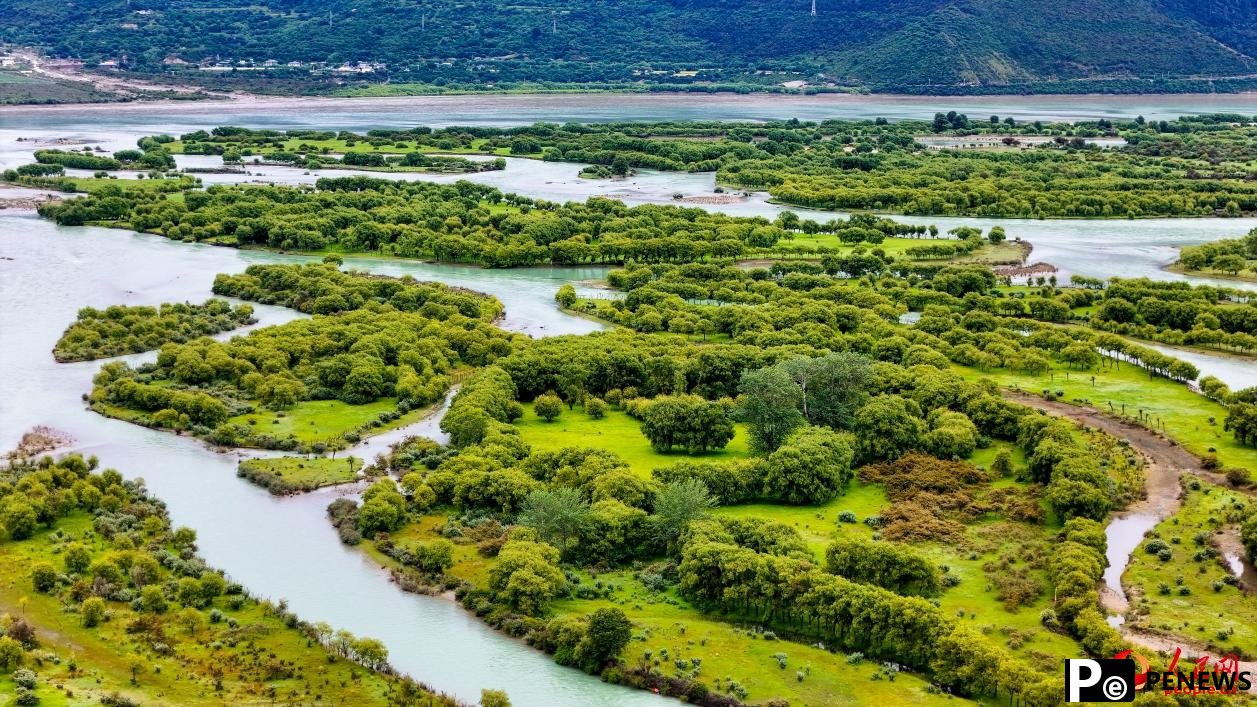 Picturesque views of Yani national wetland park in SW China’s Xizang