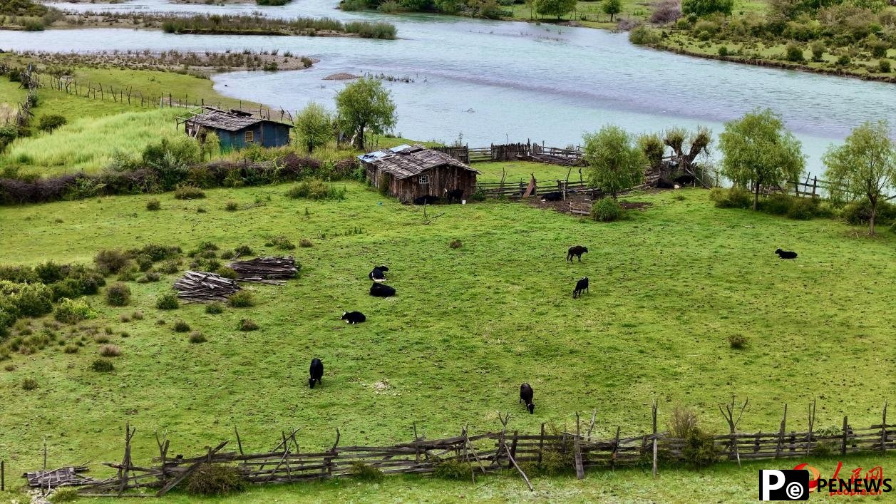 Picturesque views of Yani national wetland park in SW China’s Xizang