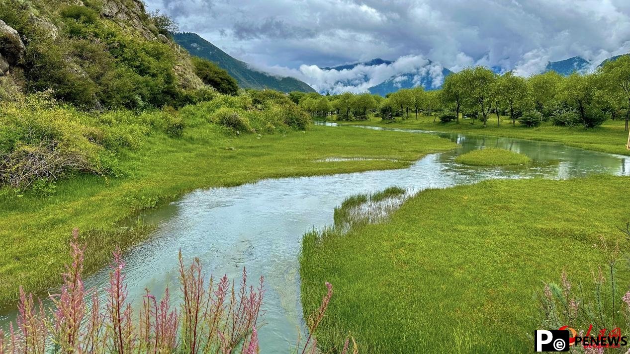 Picturesque views of Yani national wetland park in SW China’s Xizang