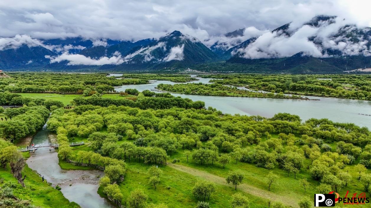 Picturesque views of Yani national wetland park in SW China’s Xizang
