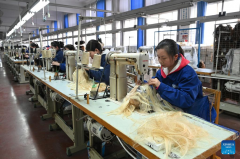 Chinese wigs see soaring sales in domestic and global markets