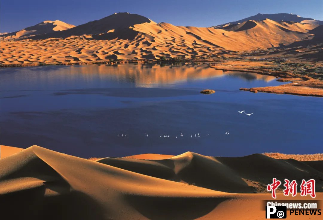 China’s Badain Jaran Desert: A must-visit wonder on the UNESCO World Heritage List