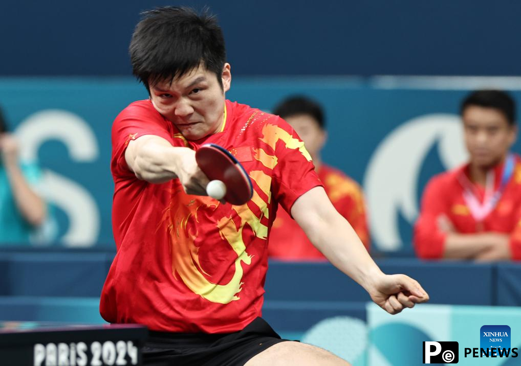 Highlights of table tennis men