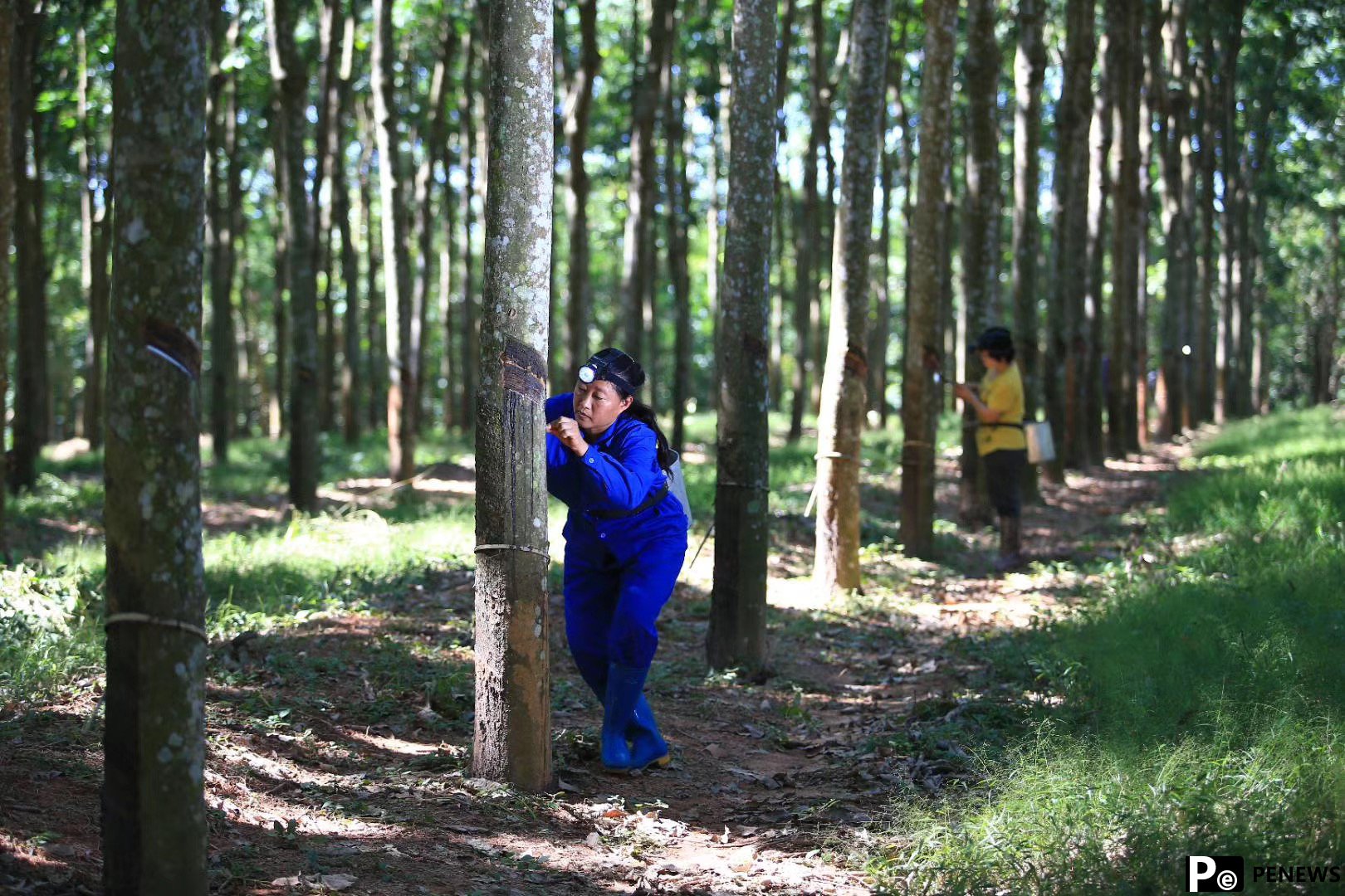 Hainan’s natural rubber reaches global market