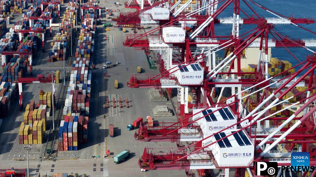 Shandong promotes integrated reform and development of coastal ports